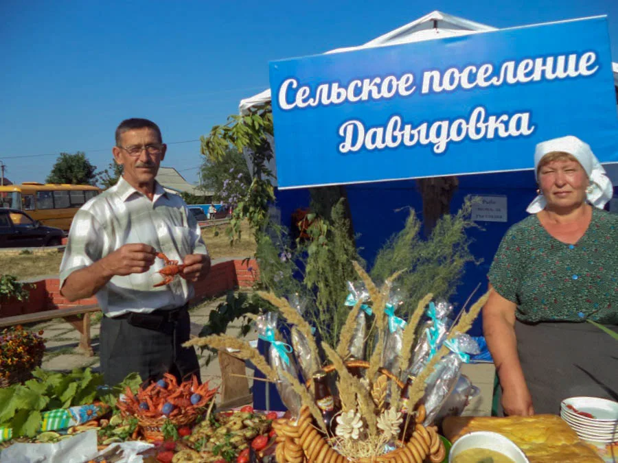 Сельское поселение Давыдовка