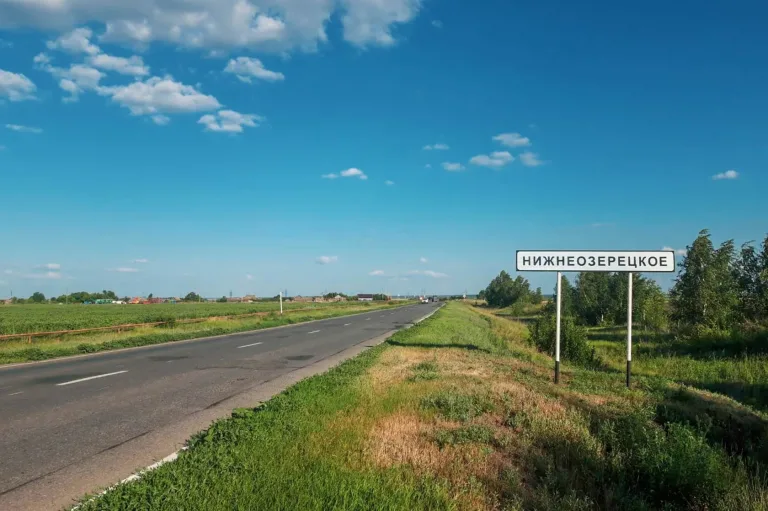 посёлок Нижнеозерецкий Приволжский район Самарская область