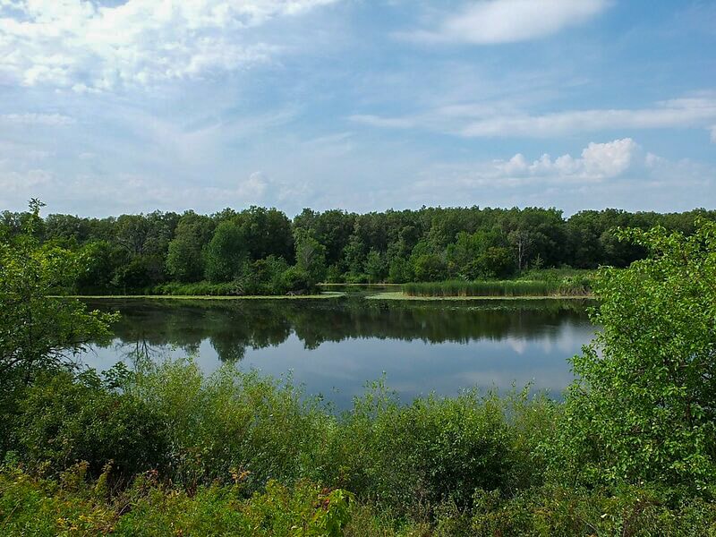 Озеро Тростянка у села Тростянка. Фото Евгения Синюкова, 2016