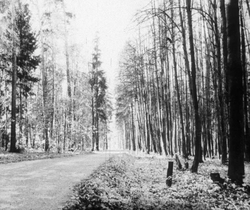 Парк на территории нынешнего посёлка Переделкино