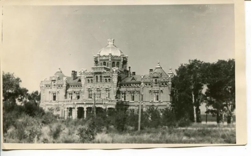 Главное здание усадьбы Самариных в Васильевском имении (ныне — село Приволжье, Приволжский район, Самарская область)