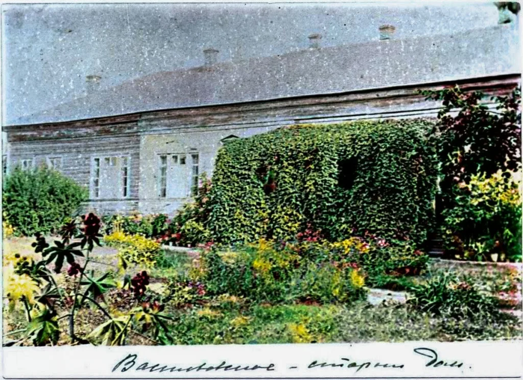 Старый дом Самариных, Васильевское