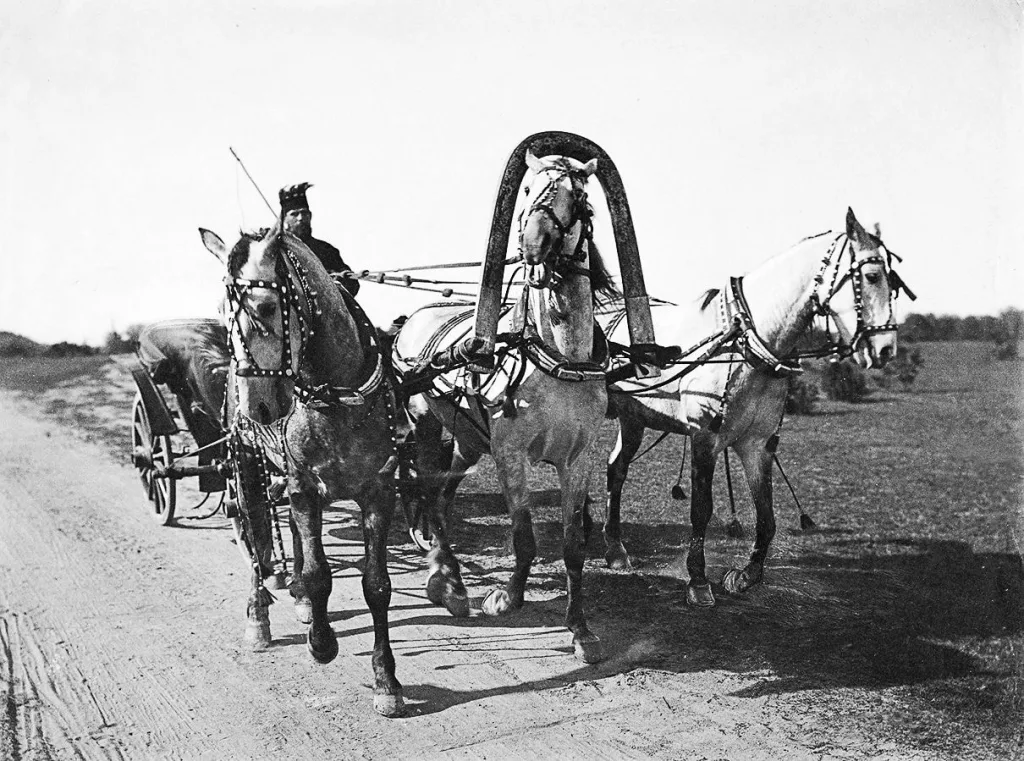 Русская тройка. Фотография А. Мазурина. 1890-е годы