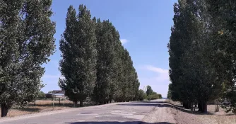 с. Кашпир Приволжский район Самарская область