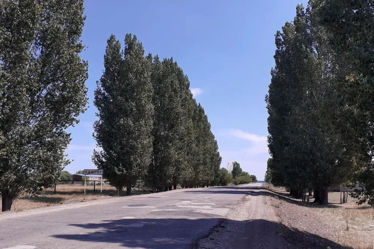 с. Кашпир Приволжский район Самарская область